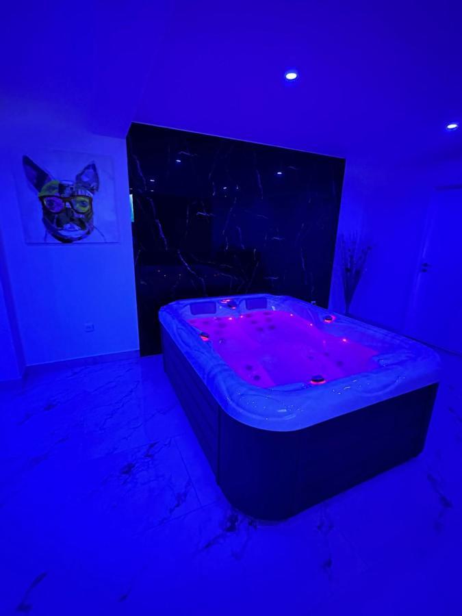 Appartement Cosy Jacuzzi Spa 70M2 Châtenois Exteriér fotografie